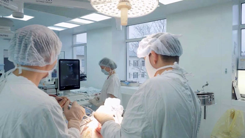 Владимирские врачи спасли пациентку с обширной аневризмой головного мозга